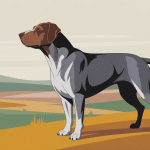 braque de weimar dangereux illustré dans la campagne