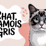 Illustration moderne chat siamois gris avec fond pastel