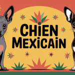 chien mexicain Xoloitzcuintle et Chihuahua sur fond mexicain coloré