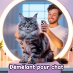 demelant pour chat illustration toilettage