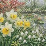 Fleur en N : massif avec narcisses, nénuphars et nivéoles