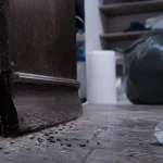 Crotte de souris près d’une plinthe, placard à nettoyer